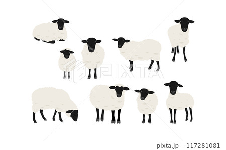 サフォーク種の羊のイラストセット 117281081