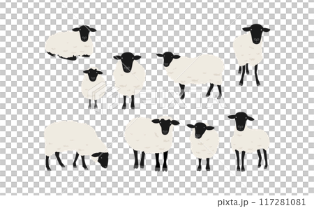 サフォーク種の羊のイラストセット 117281081