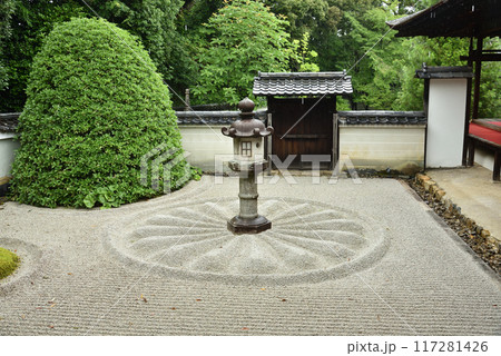 雨の雲龍院　石灯籠(霊明殿前) 117281426