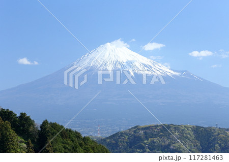 雪をかぶった富士山 117281463