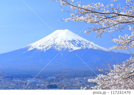 雪をかぶった富士山と桜 雪をかぶった富士山と桜 117281470