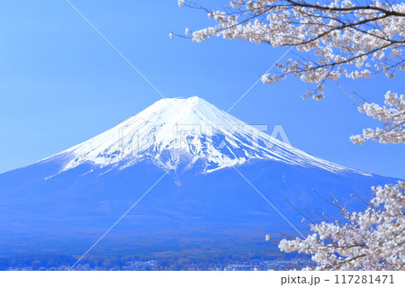 雪をかぶった富士山と桜 117281471