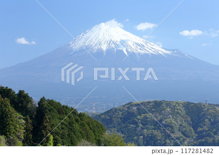雪をかぶった富士山 雪をかぶった富士山 117281482