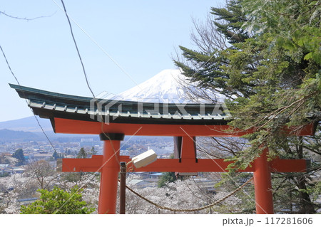 新倉山浅間公園の鳥居と富士山、桜(山梨県 富士吉田市) 新倉山浅間公園の鳥居と富士山、桜(山梨県 富士吉田市) 117281606