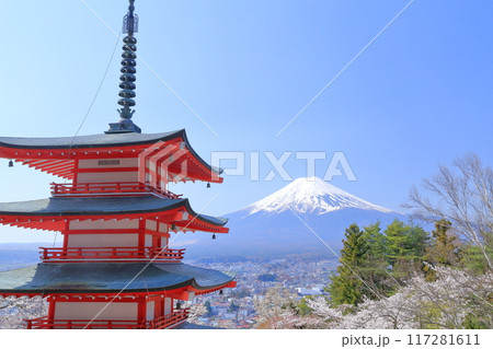 富士山、新倉山浅間公園の桜(山梨県 富士吉田市) 富士山、新倉山浅間公園の桜(山梨県 富士吉田市) 117281611