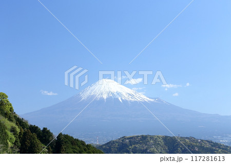 雪をかぶった富士山 雪をかぶった富士山 117281613