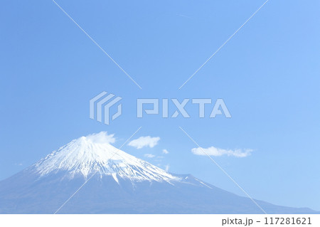 雪をかぶった富士山 雪をかぶった富士山 117281621