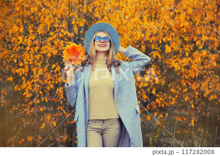 Autumn portrait of beautiful happy smiling woman with yellow maple leaves in the park 117282008