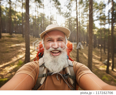 Hiker on a Forest Trail: One Man Adventuring 117282706