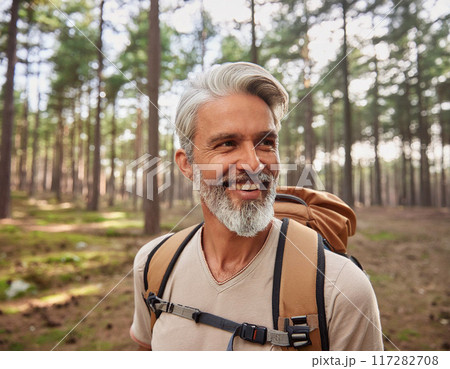 Hiker on a Forest Trail: One Man Adventuring 117282708