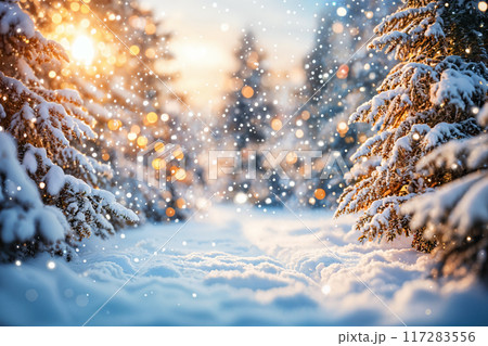 Snowy path between trees at sunrise or sunset. 117283556