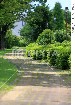 辰巳の森海浜公園の風景(東京都江東区) 辰巳の森海浜公園の風景(東京都江東区) 117283972