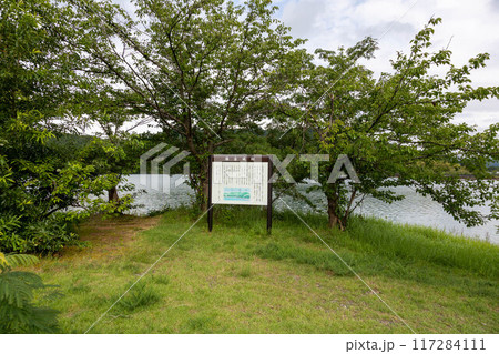 大池いこいの森　キャンプ場　新潟県上越市 117284111