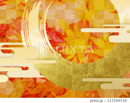 紅葉したモミジの葉 117284530