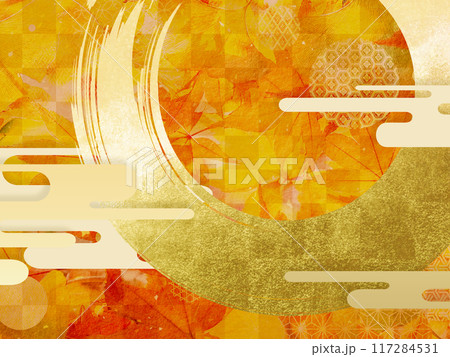 紅葉したモミジの葉 117284531