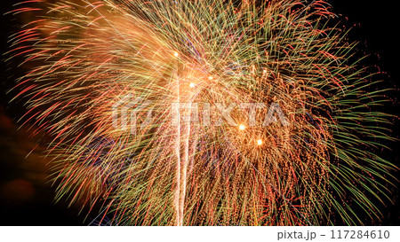 夏の風物詩・夜空に打ち上がる大花火（戸田橋いたばし花火大会） 117284610