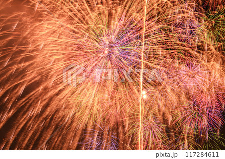 夏の風物詩・夜空に打ち上がる大花火（戸田橋いたばし花火大会） 117284611