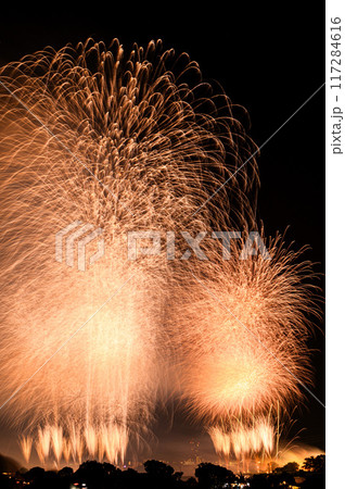 夏の風物詩・夜空に打ち上がる大花火(戸田橋いたばし花火大会) 夏の風物詩・夜空に打ち上がる大花火(戸田橋いたばし花火大会) 117284616