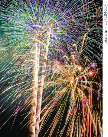 夏の風物詩・夜空に打ち上がる大花火（戸田橋いたばし花火大会） 117284617