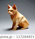 かわいい猫 117284853