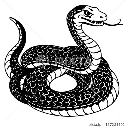 白黒の蛇 117285592