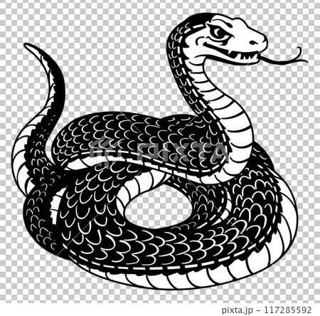 黑白的蛇 黑白的蛇 117285592