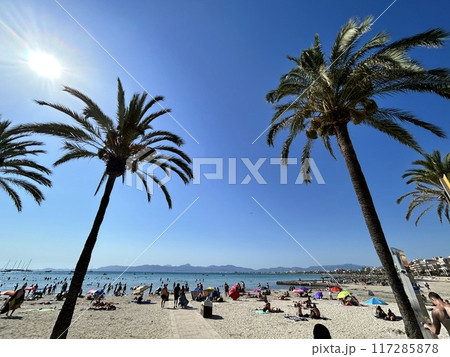 マヨルカ島 マヨルカ島 117285878