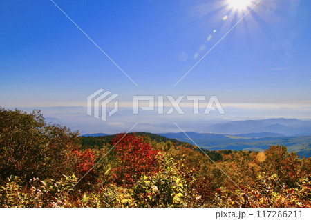 秋の磐梯吾妻スカイライン(福島市・猪苗代町) 秋の磐梯吾妻スカイライン(福島市・猪苗代町) 117286211