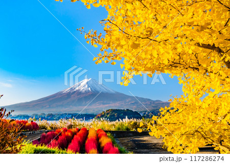 富士山と紅葉 ~紅葉に染まる河口湖大石公園~ 富士山と紅葉 ~紅葉に染まる河口湖大石公園~ 117286274
