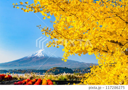 富士山と紅葉 ~紅葉に染まる河口湖大石公園~ 富士山と紅葉 ~紅葉に染まる河口湖大石公園~ 117286275