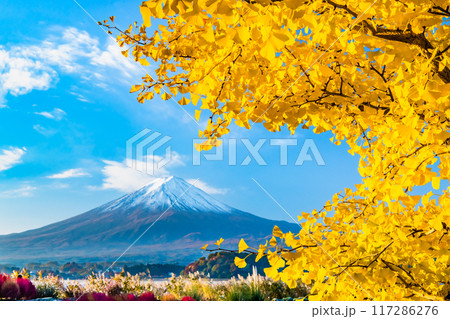富士山と紅葉　～紅葉に染まる河口湖大石公園～ 117286276