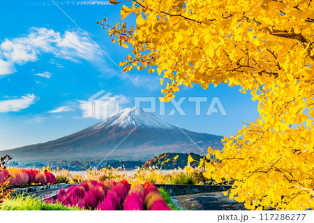 富士山と紅葉　～紅葉に染まる河口湖大石公園～ 117286277