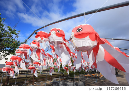 柳井  金魚ちょうちん祭り2385 117286416