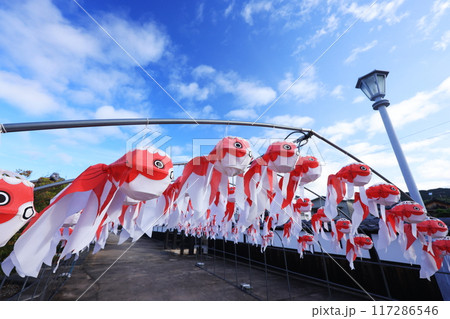 柳井　金魚ちょうちん祭り2435 117286546