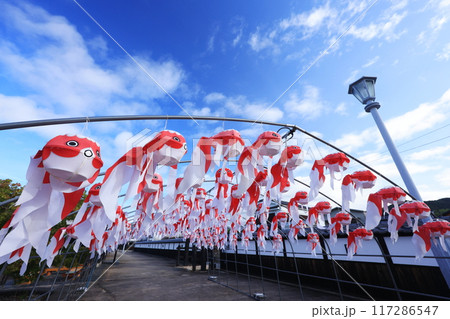 柳井　金魚ちょうちん祭り2437 117286547