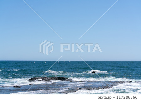 晴れた日の海 晴れた日の海 117286566