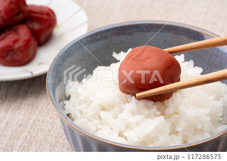 梅干しとご飯 117286575