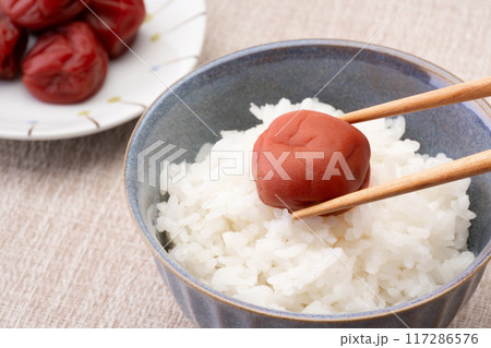 梅干しとご飯 117286576