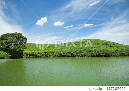 いたすけ古墳　【大阪府堺市北区百舌鳥本町】 117287621