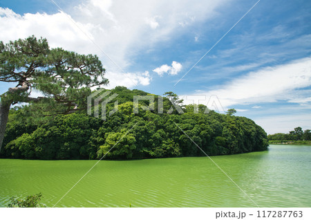 履中稜古墳　【大阪府堺市】 117287763