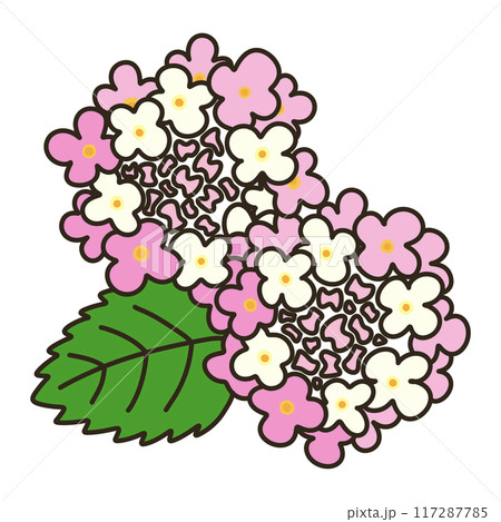 ランタナ ランタナ 117287785