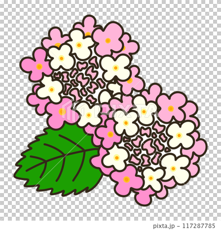 ランタナ ランタナ 117287785