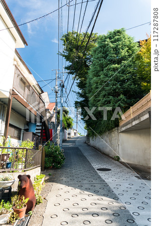 坂の上を眺める　仙川Seria（セリア）へ続く道　夏晴れの青空　東京都調布市 117287808
