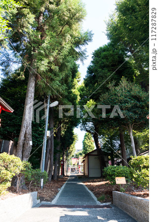 八幡神社の入口から奥を眺める 仙川近く 夏晴れの青空 東京都調布市 八幡神社の入口から奥を眺める 仙川近く 夏晴れの青空 東京都調布市 117287829