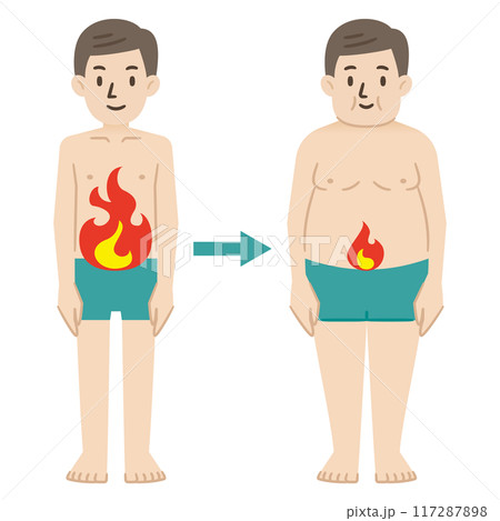 加齢に伴い低下した基礎代謝のイラスト 加齢に伴い低下した基礎代謝のイラスト 117287898