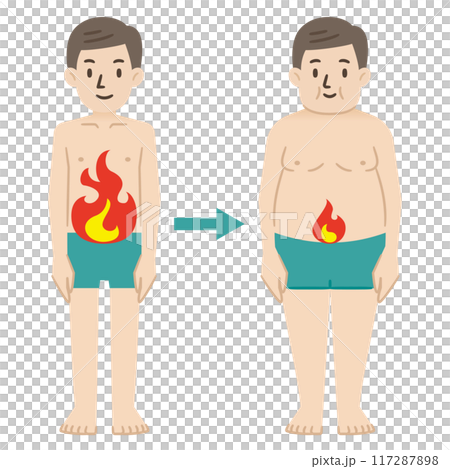 加齢に伴い低下した基礎代謝のイラスト 加齢に伴い低下した基礎代謝のイラスト 117287898