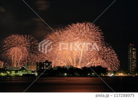 琵琶湖の花火大会の風景 琵琶湖の花火大会の風景 117288075