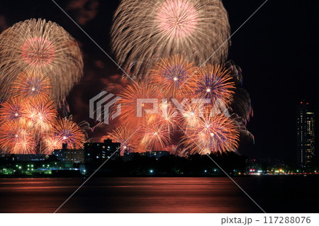 琵琶湖の花火大会の風景 琵琶湖の花火大会の風景 117288076