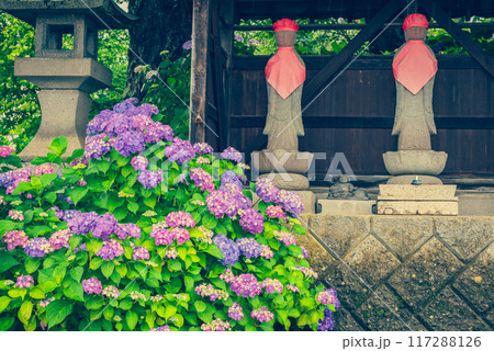 法船寺のアジサイとお地蔵様【松本市】 法船寺のアジサイとお地蔵様【松本市】 117288126