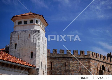 閉園中のテーマパーク 117288278